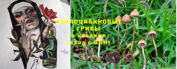 гидра Нязепетровск