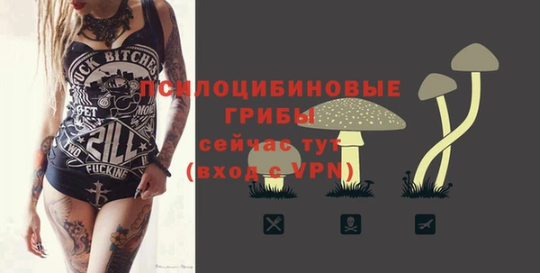 соль курить ск Болохово