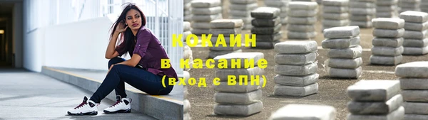 СК Няндома