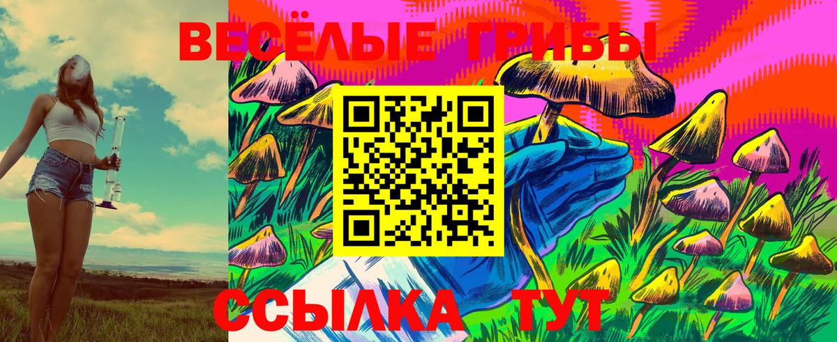 Ртищево  Псилоцибиновые грибы прущие грибы  Псилоцибиновые грибы прущие грибы  Вход с VPN 