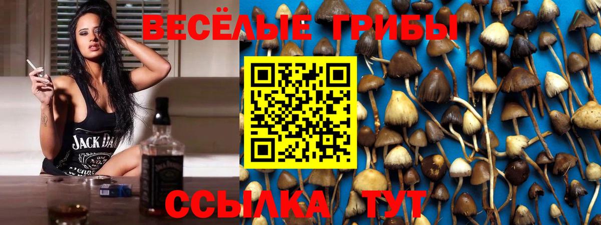 Галлюциногенные грибы MAGIC MUSHROOMS Ртищево